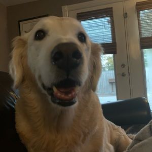 Meet your Posher, Kelly-jo